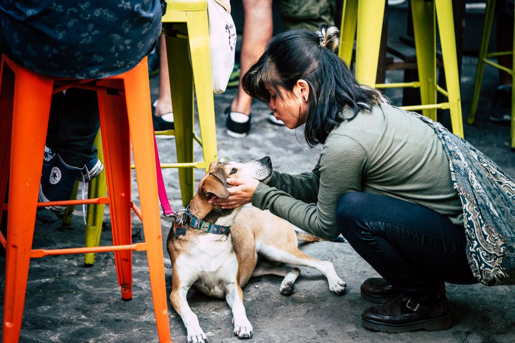 Event Photographer | Food Festival | El Barrio Antigua Guatemala 8